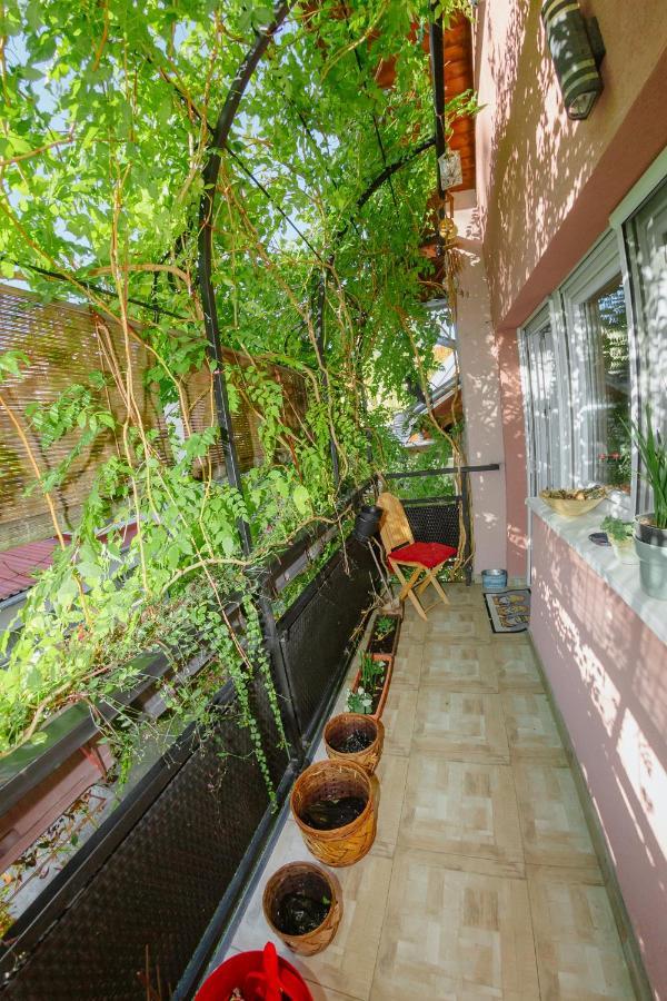Apartman Zamak Sombor Extérieur photo