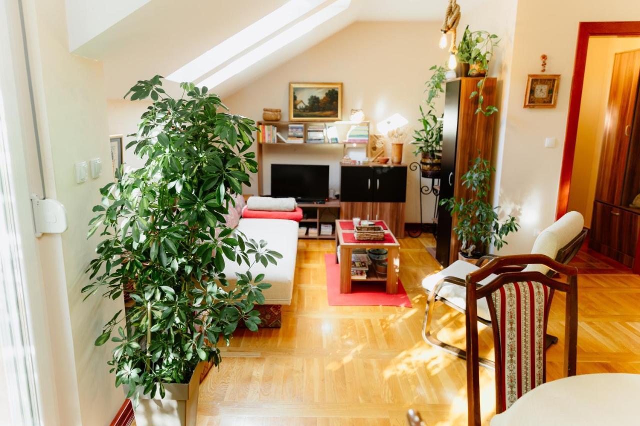 Apartman Zamak Sombor Extérieur photo